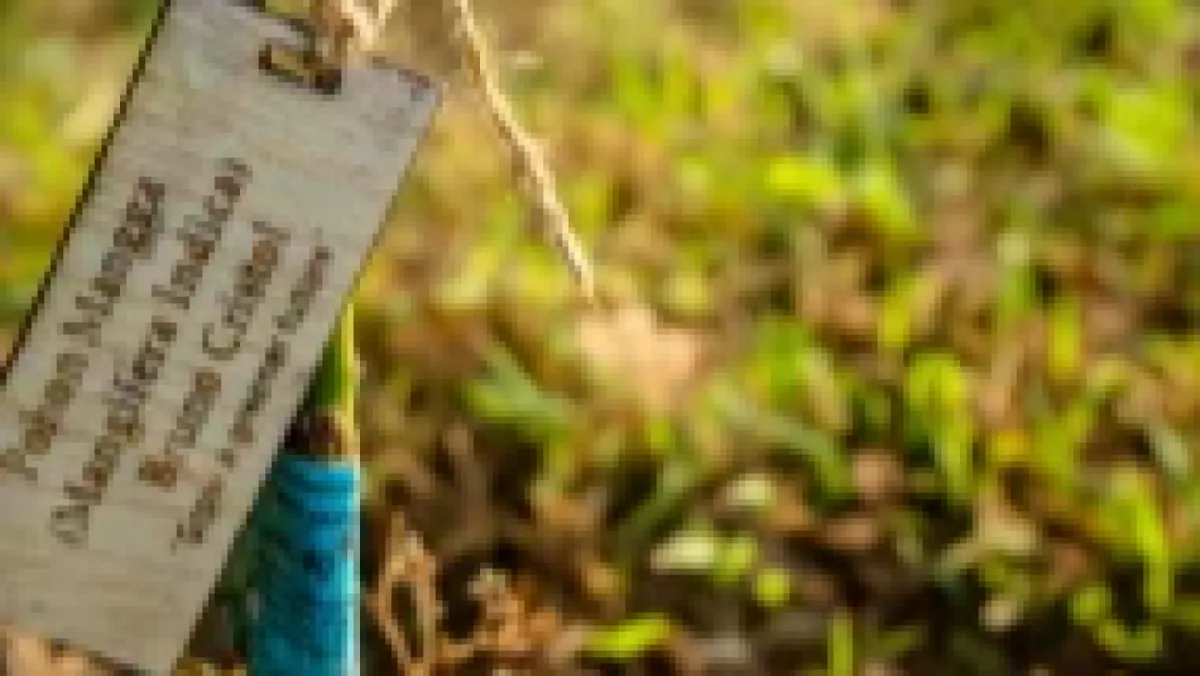 Building a Greener Tomorrow!