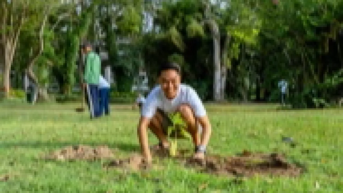 Building a Greener Tomorrow!